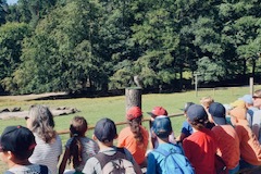 IMG_0245
